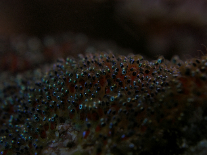 P4100367.JPG