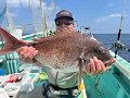 fc2blog_20250404121217d97