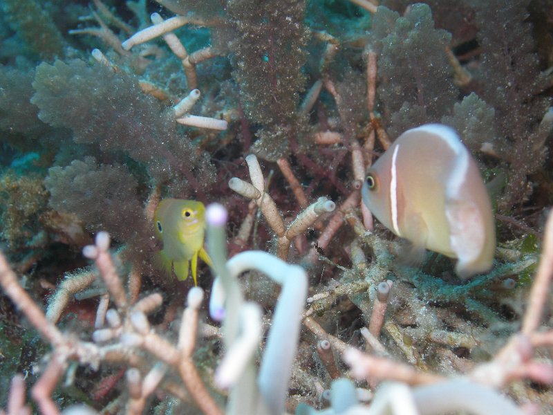 P4160540.JPG
