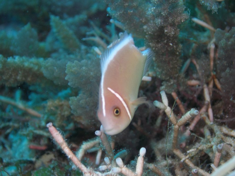 P4160541.JPG