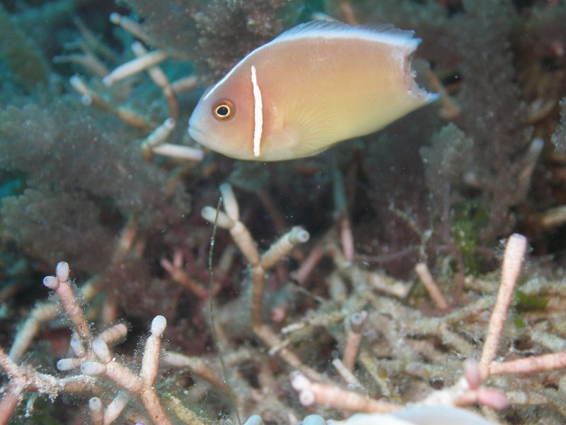 P4160542.JPG