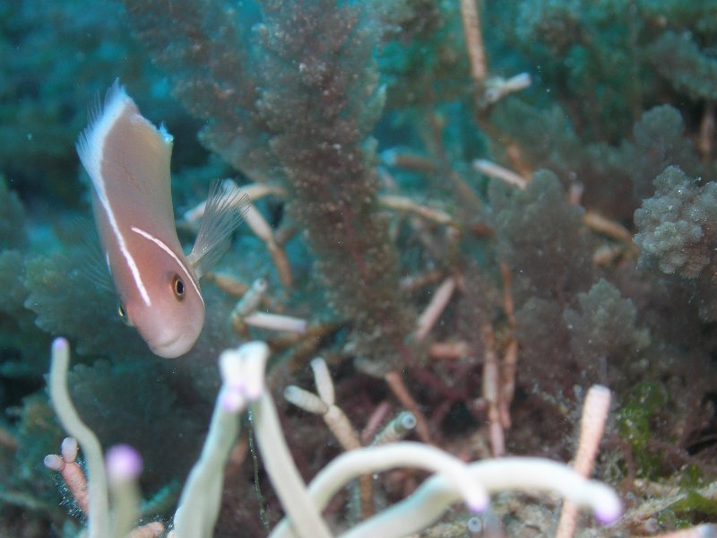 P4160556.JPG