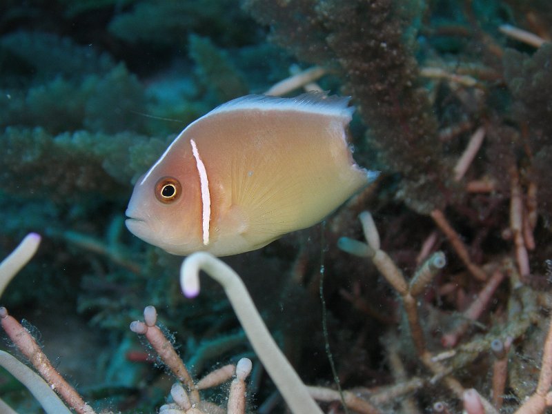P4160564.JPG