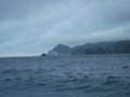 DSCF7164