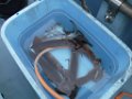 DSCF7168