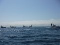 DSCF7171