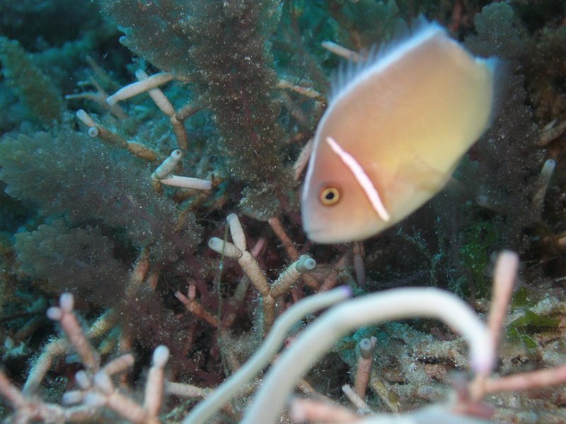 P4160546.JPG
