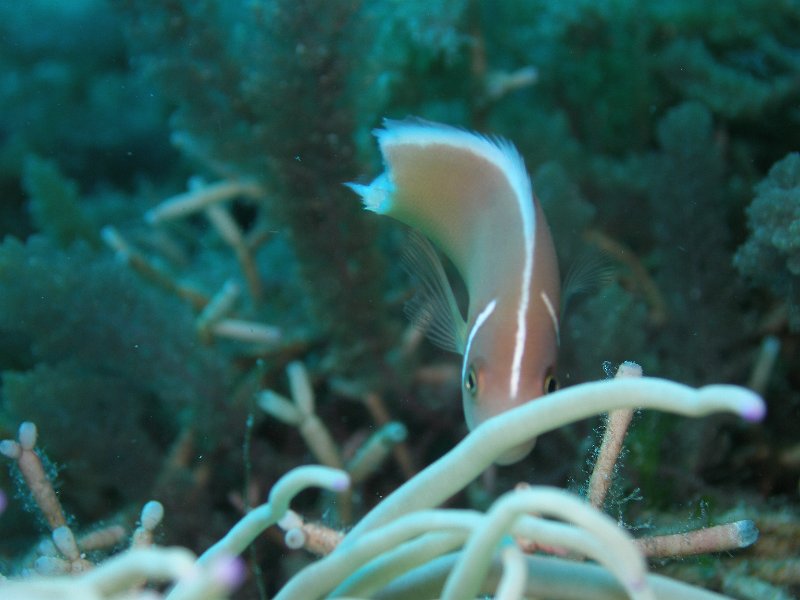 P4160551.JPG