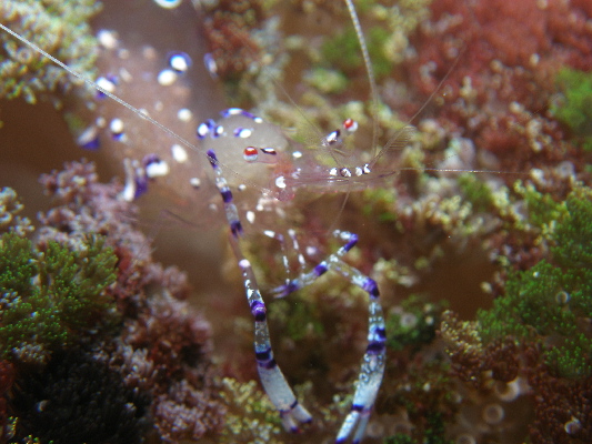 image10