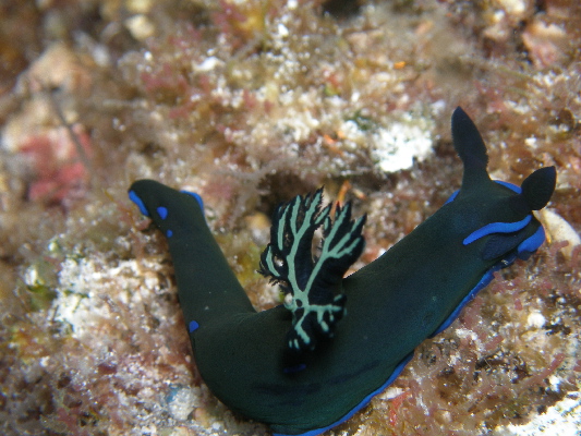 image3
