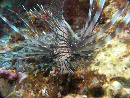 image9