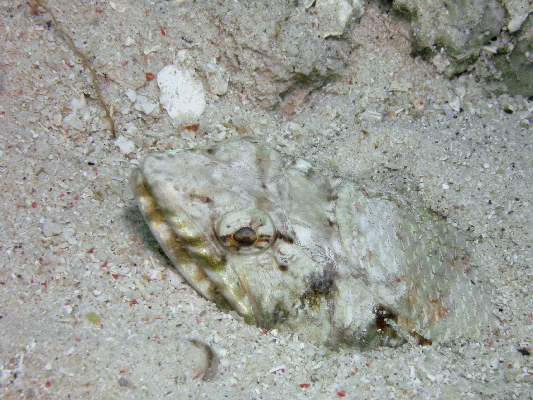 image35