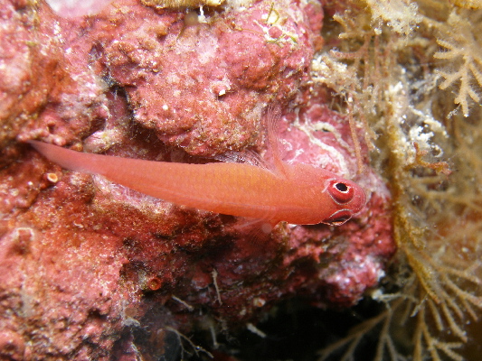 image70