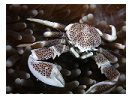 thumbnail2