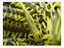thumbnail21