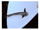 thumbnail26