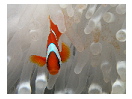 thumbnail28
