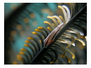 thumbnail29