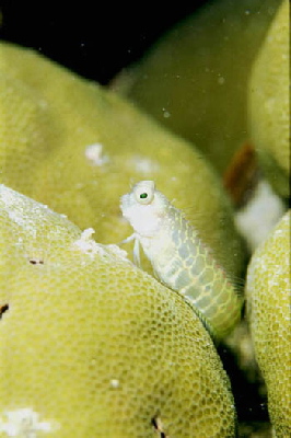 image10